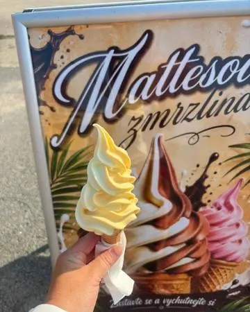 Mattes Restaurant & 3* Drzovice